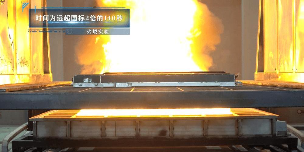 Euler, Euler lightning cat, Chinese