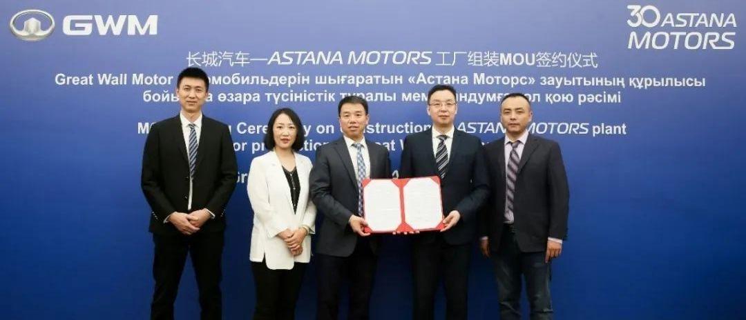 Great Wall, Euler, Euler Good Cat, Haval, Tank