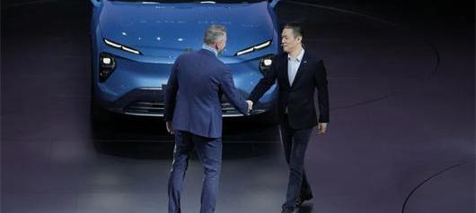 Weilai, Tucki, camel, ideal L9, Morgan