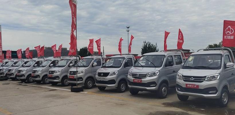 BYD, Dolphin, Haval, Euler, Chery