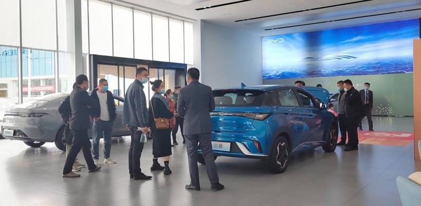 BYD, Dolphin, Haval, Euler, Chery