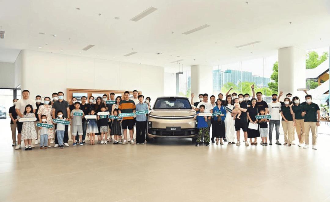 Tesla, LI, Wei brand, Hyundai, smart