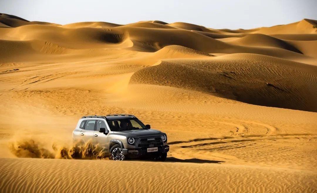 Great Wall, Tank, Haval, Euler, Wei Brand