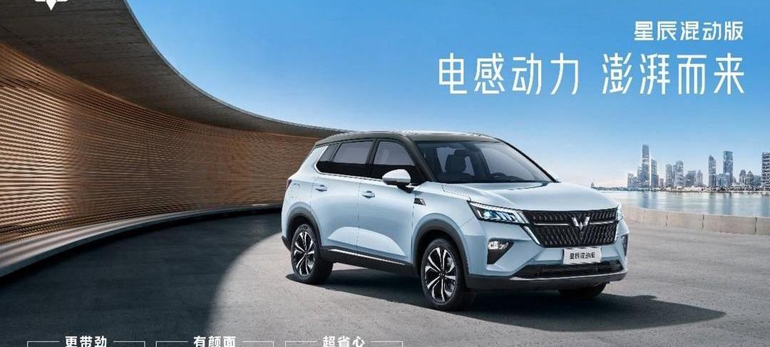 Weilai, Tesla, Aichi, Mercedes-Benz, QQ ice cream