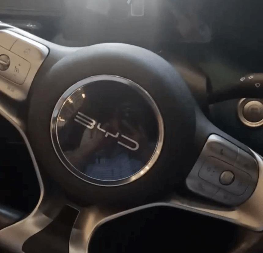 BYD, Tesla, Wei Brand, Dolphin, Great Wall