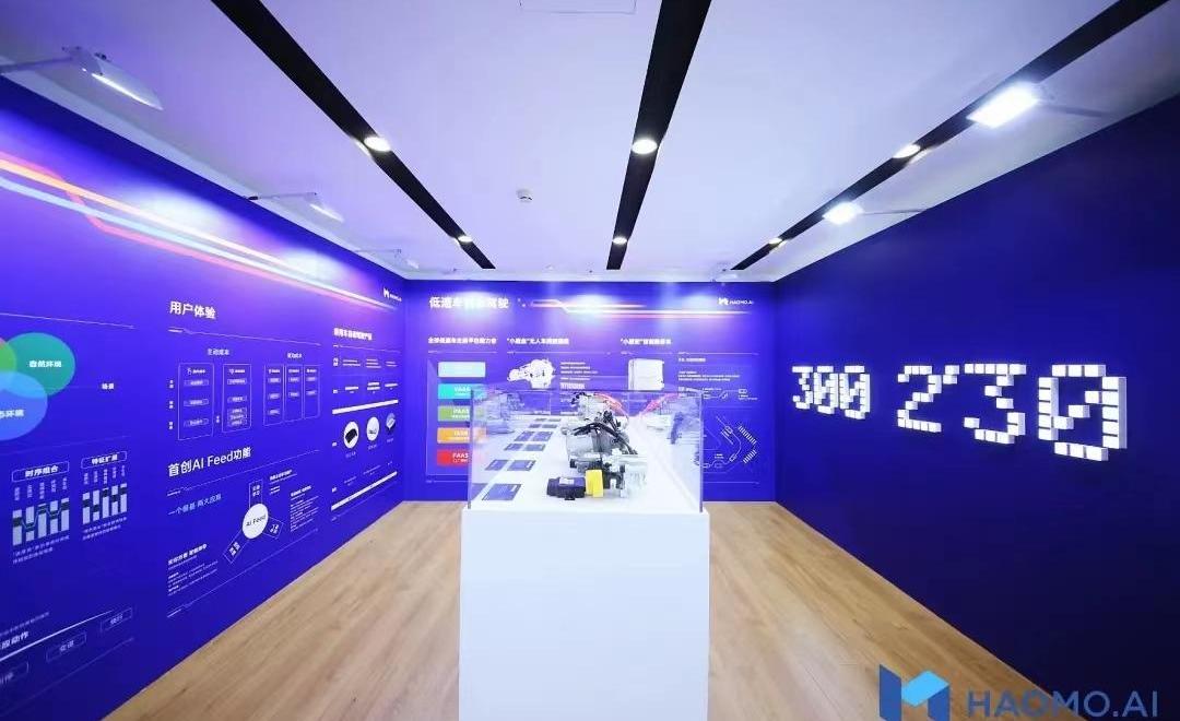 Great Wall, Tank, Haval, Euler, Gun