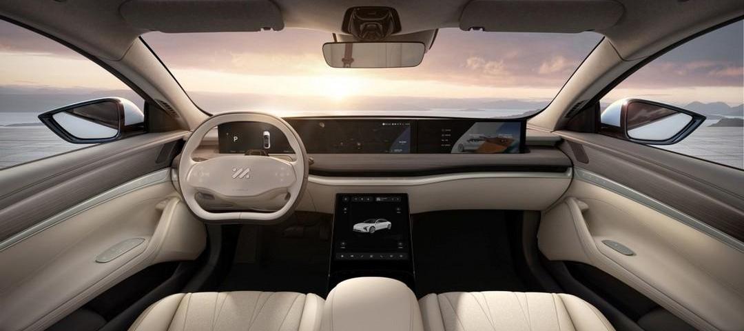 Zebra, idea, wisdom L7