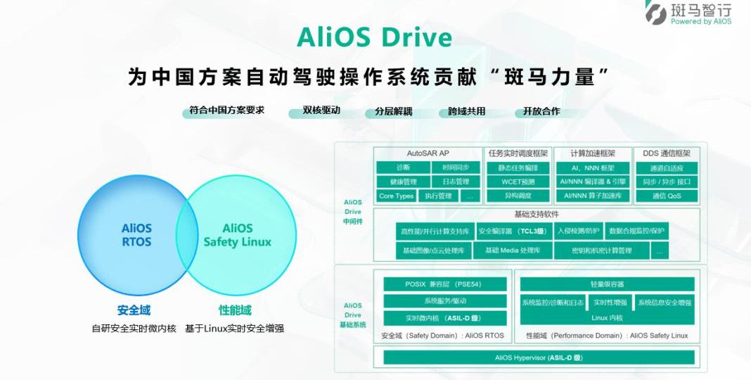 Zebra, idea, wisdom L7