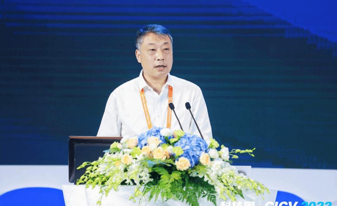 Beijing, concept, BMW, Toyota, Ford