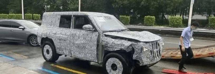 BYD, Wei Brand, Seal, Lotus, Mini