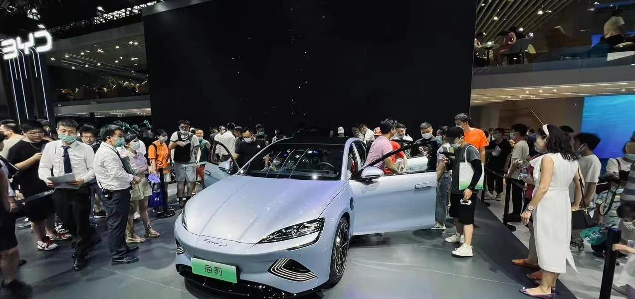 Seals, BYD, Seagulls, Dolphins, Aouita 11