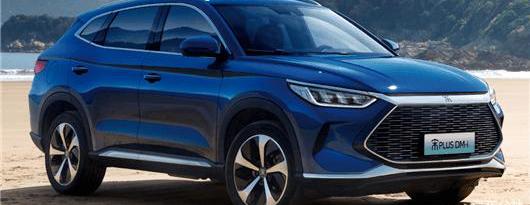 BYD, Tesla, MINI, Hyundai, Hongguang miniev