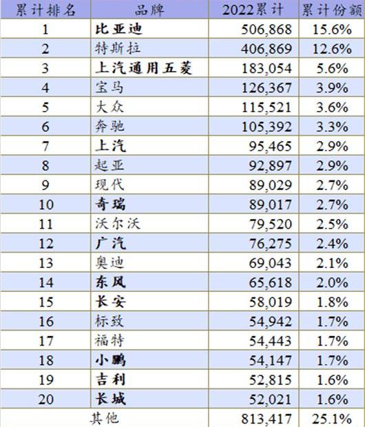 BYD, Tesla, MINI, Hyundai, Hongguang miniev