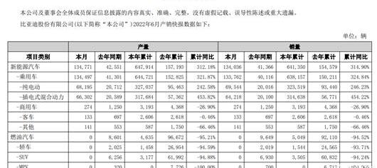 BYD, Tesla, MINI, Hyundai, Hongguang miniev
