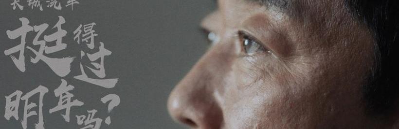 Mitsubishi, Tesla, Nissan, Great Wall and Weilai