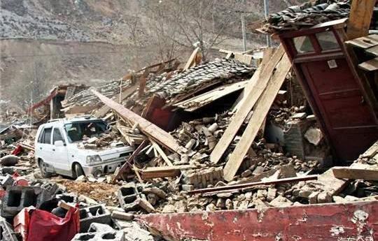 Discovered zebra, Beijing, Weilai and Tucki