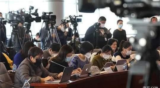 Discovered zebra, Beijing, Weilai and Tucki