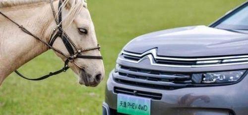 Dongfeng, Discovery, Han, Honda, Century