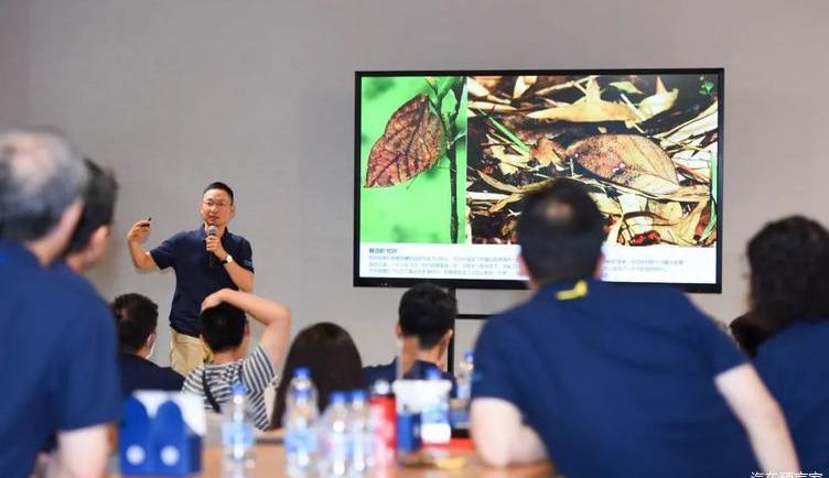 Volkswagen, Tanyue, FAW, Touareg, Beijing