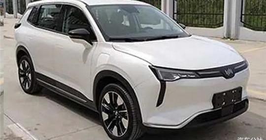 Weilai, LI, Tesla, Tucki, Li ONE