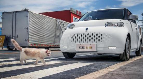 Great Wall, Haval, Cannon, Euler, Haval H6