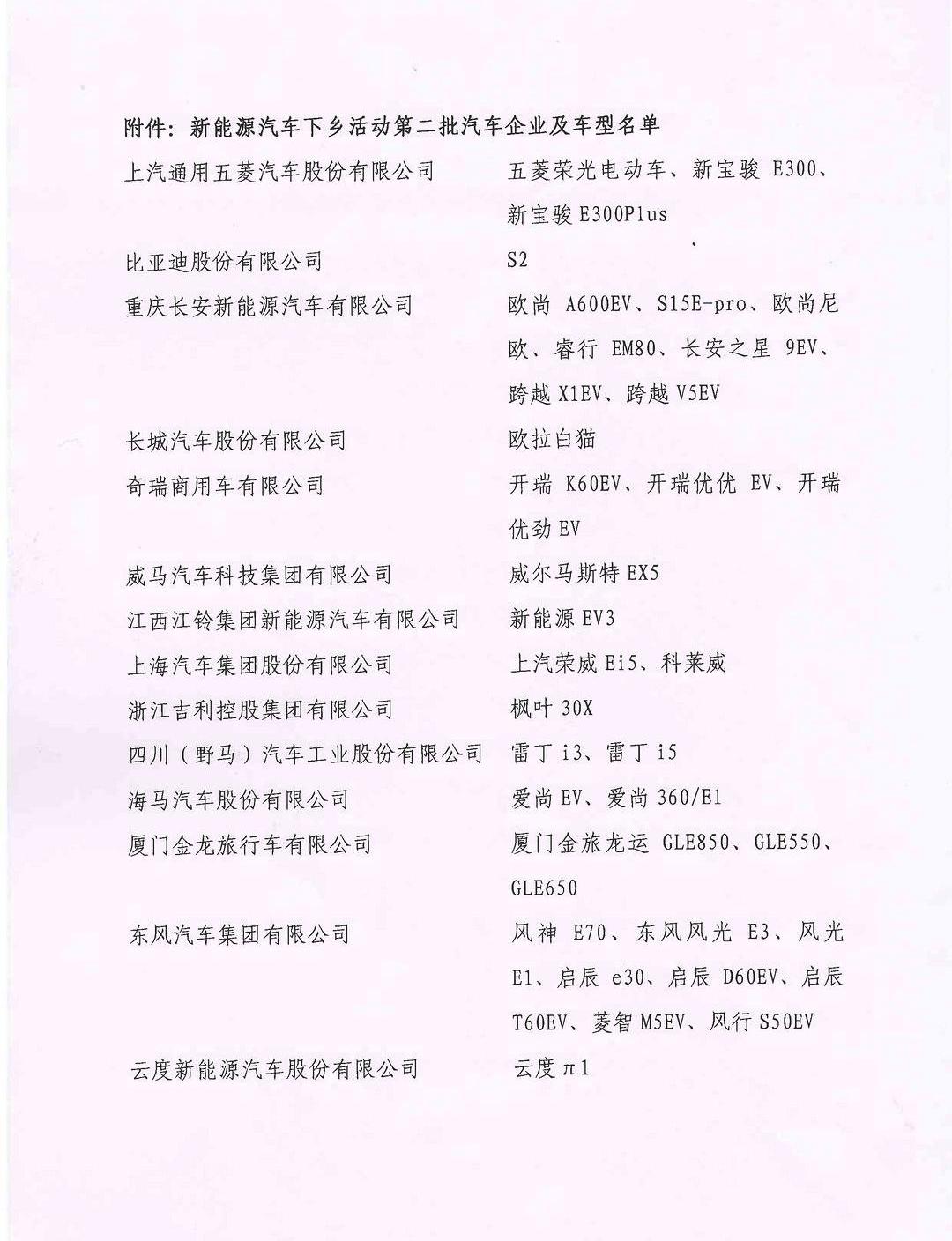 Volkswagen, Tesla, Weilai, Euler Good Cat, Euler