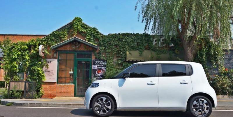 Euler, Euler White Cat, Great Wall, Beijing, concept