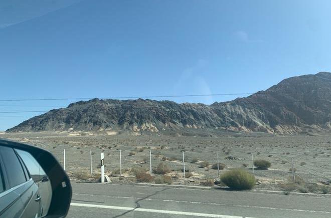 Audi, Audi Q7, camel, found