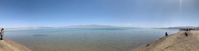 Audi, Audi Q7, camel, found