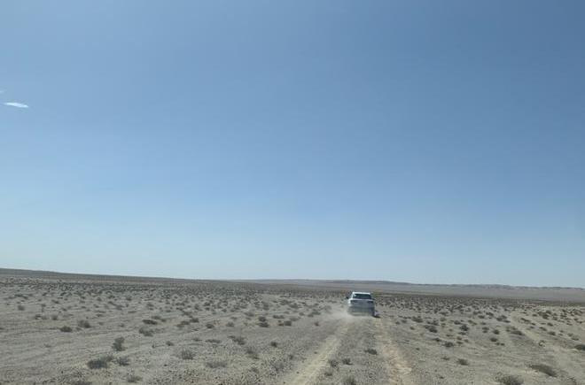 Audi, Audi Q7, camel, found