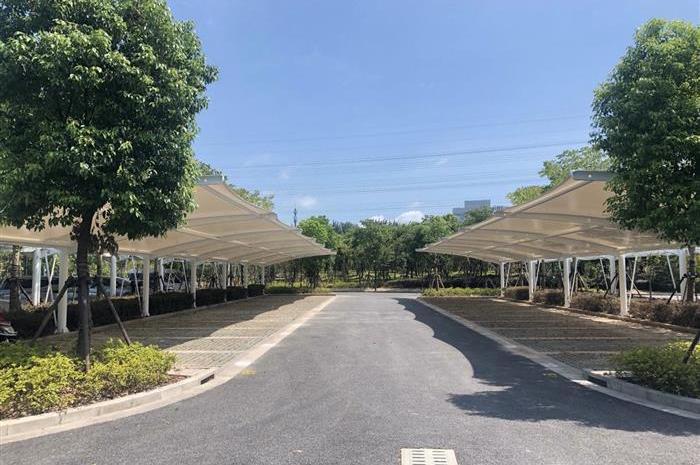 Tesla, Beijing, concept, model 3, model y