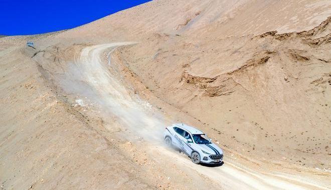 Chang 'an, Chang 'an Auchan, Chang 'an Auchan X5, Whale