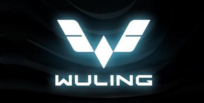 Wuling capgemini