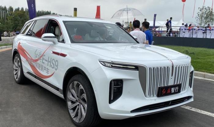 red flag, red flag HS5, red flag H7, red flag H5, red flag H9