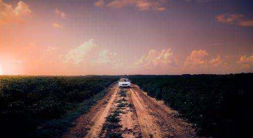 Lifan Auto, Mercedes-Benz, BYD, Yuanxin Energy, Volkswagen