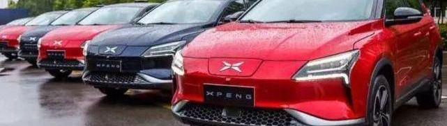 Tucki, Sequoia, Hechuang, Morgan