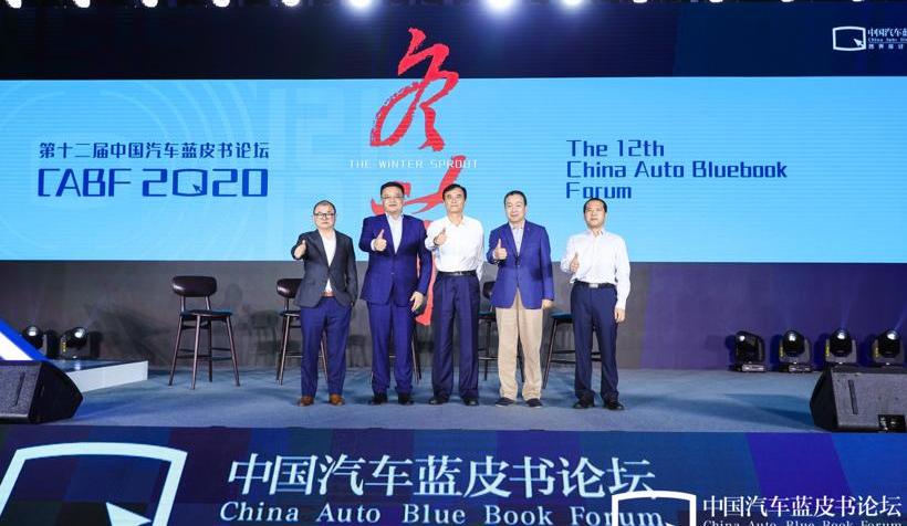 Jianghuai, Volkswagen, Tesla, Weilai, Dongfeng