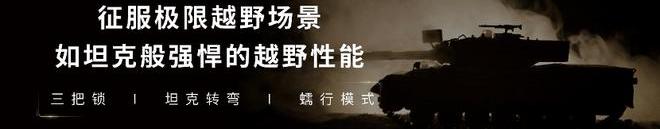 Great Wall, Tank, Haval, Tank 300, Remote