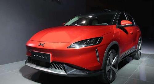 Tucki, Beijing, Sequoia, LI, Morgan