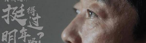 Great Wall, Toyota, Volkswagen, Haval, Kaige