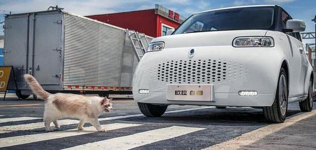 Euler, Great Wall, Haval, Haval Dog