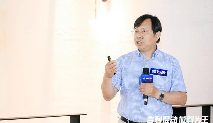 BMW, Volkswagen, Geely Automobile, BYD, Passat