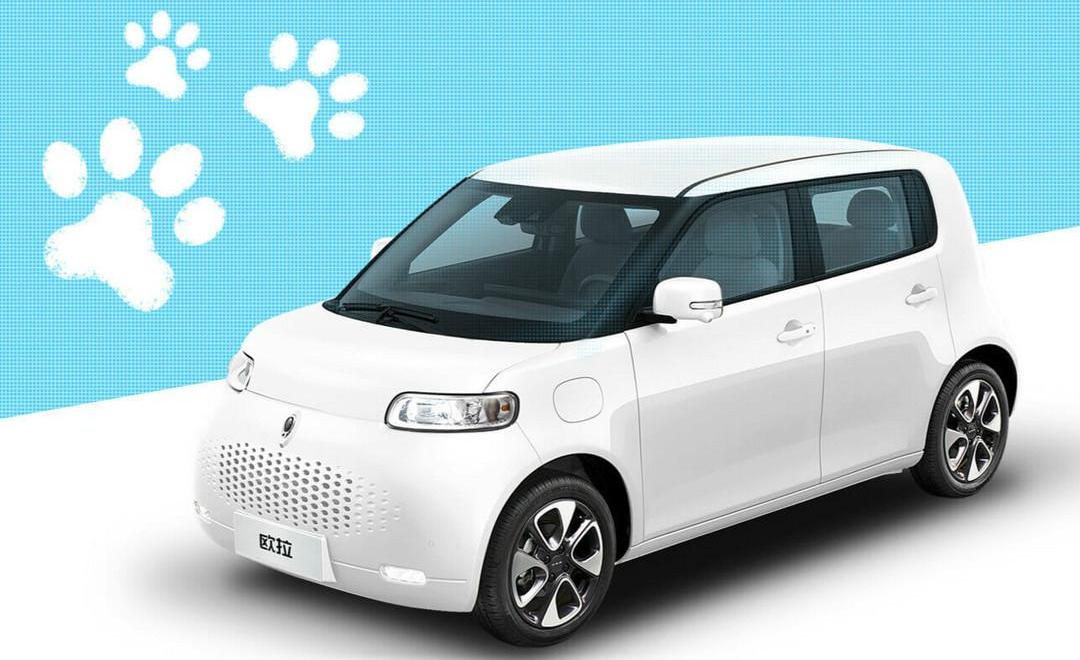 Euler, Euler White Cat, Great Wall, Harvard, discovered