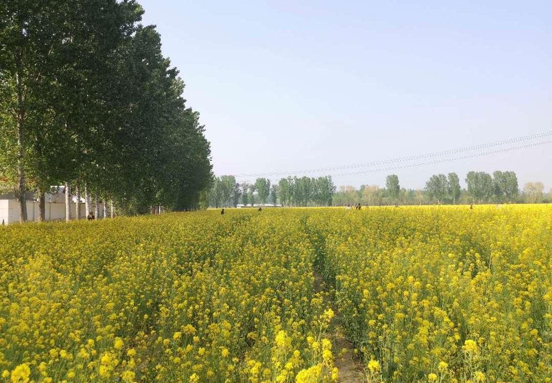 Beijing