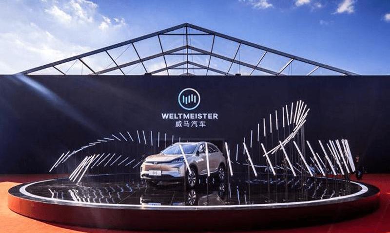 Tesla, Tucki, Weilai, Model Y, LI