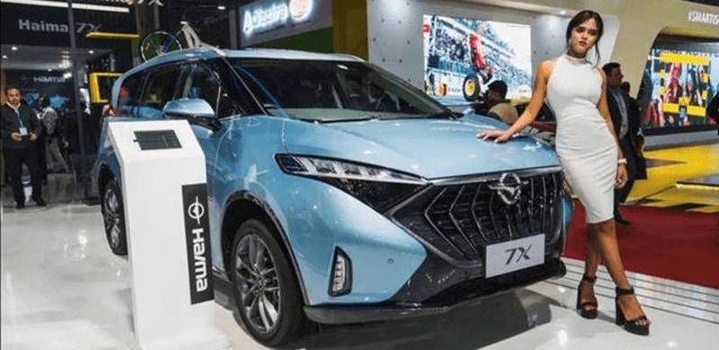 hippocampus, southeast, hippocampus 7X, Tucki, Ford