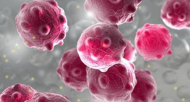 Discovery, Weilai, FAW, Tucki