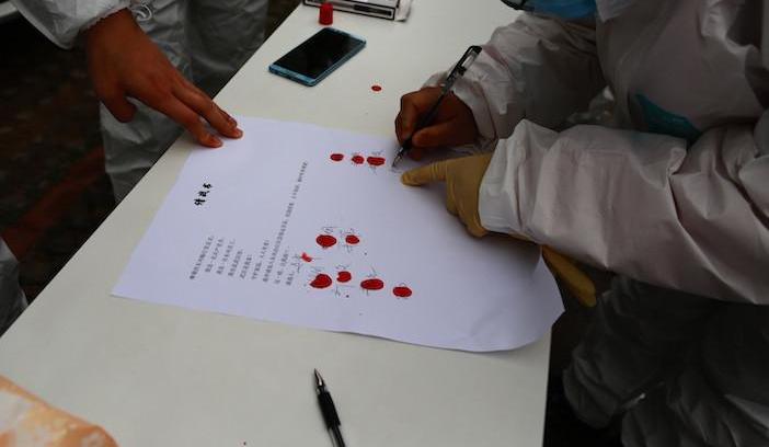 Han, Dongfeng, Ford, Jiangling and Futian