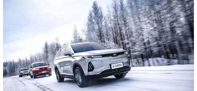 理念,威馬汽車,合創,特斯拉,蔚來