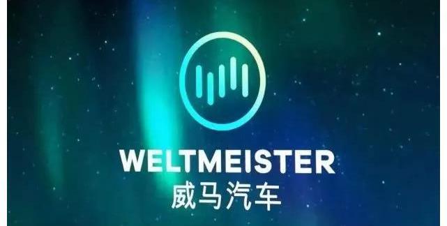 理念,威馬汽車,合創,特斯拉,蔚來